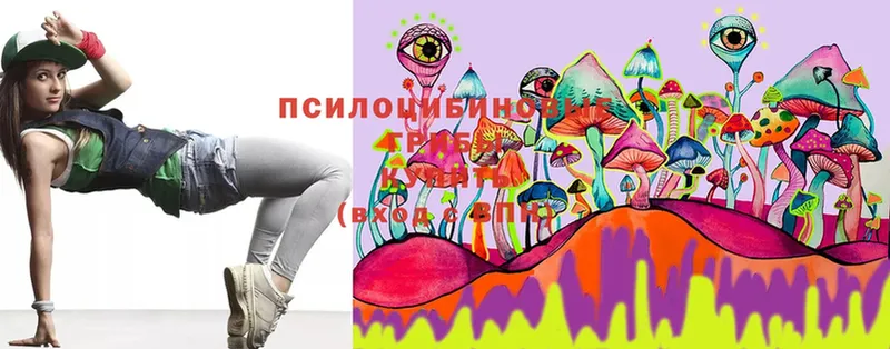 Галлюциногенные грибы MAGIC MUSHROOMS Костерёво